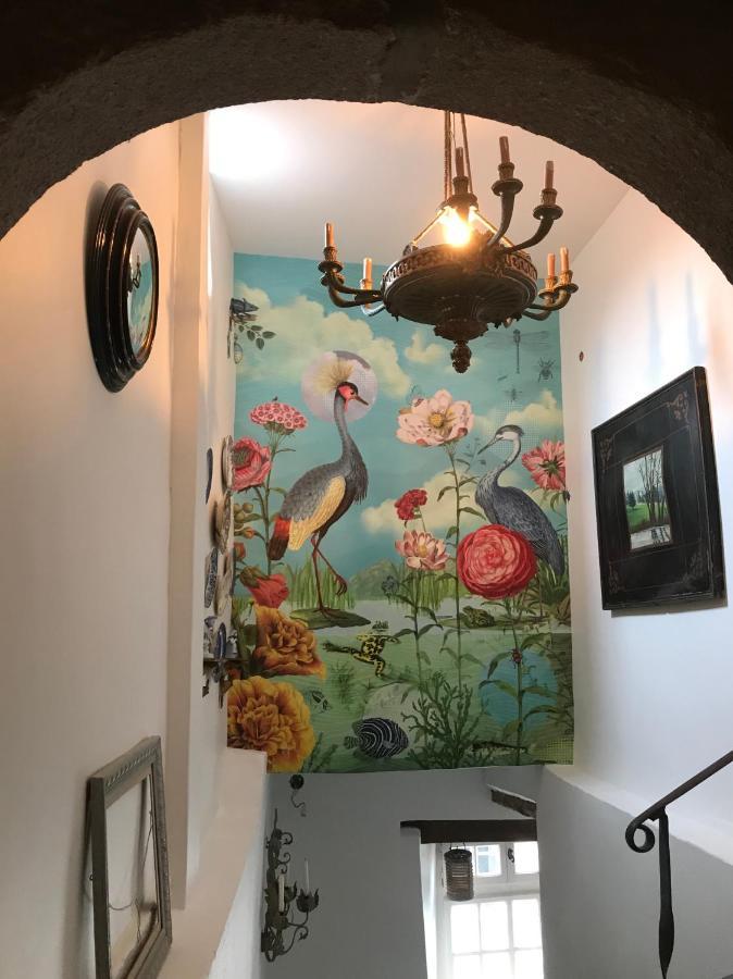 Tréguier B&B Du Cloitre מראה חיצוני תמונה